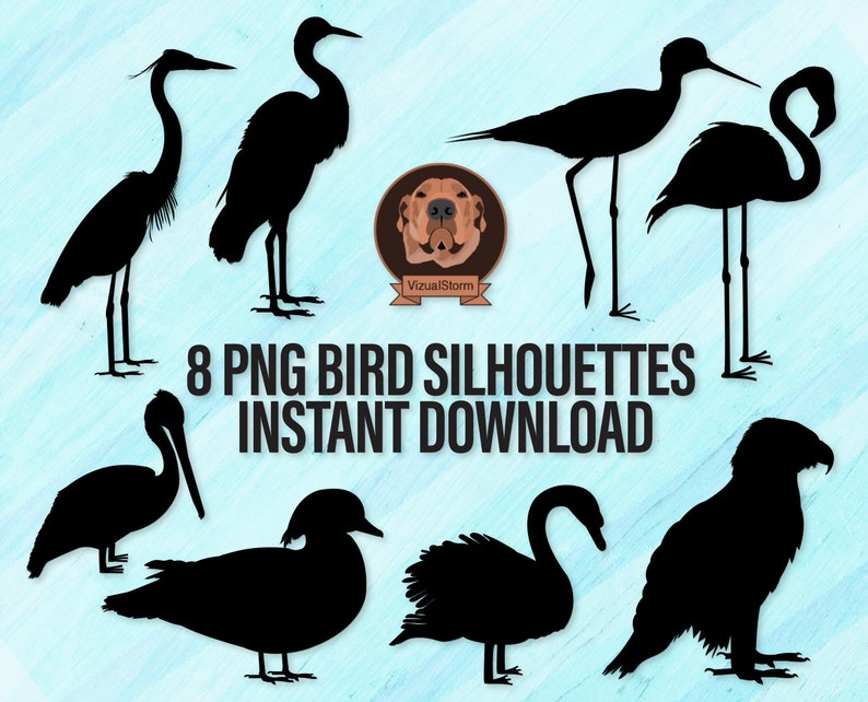 Bird Silhouettes Png Digital Shorebirds Clip Art, Bald Eagle, Swan, Pelican, American Flamingo, Wood Duck, Great Blue Heron, Snowy Egret image 1