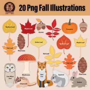 Png Fall Woodland Clipart Bundle Autumn Forest Illustrations with Leaves, Acorns, Pumpkin, Mushrooms, Fox, Rabbit, Squirrel, Owl, Chipmunk image 2