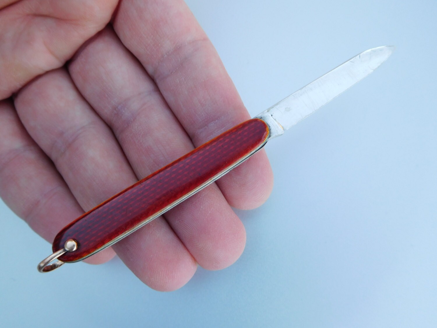 Fantastic Wholesale Prices New Books Pocket Fruit Knives 0 New goods