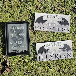 Könnte beinhalten: Ein E-Reader mit dem Buch "A Court of Thorns and Roses" von Sarah J. Maas, neben zwei Aufklebern. Einer der Aufkleber lautet "I Brake for Bat Boys", der andere "My Other Ride Is An Illyrian". Alle Artikel liegen auf grünem Gras.