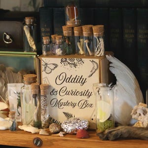 May include: A collection of curiosities, including small glass bottles with cork stoppers, a box labeled "Oddity & Curiosity Mystery Box", feathers, and bones. The bottles contain various specimens, and the box features butterfly and fern illustrations.
