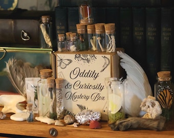 Curated Oddity and Curiosity Mystery Box, 5 to 6 items, Vulture Culture, Bones, Fossils, Crystals