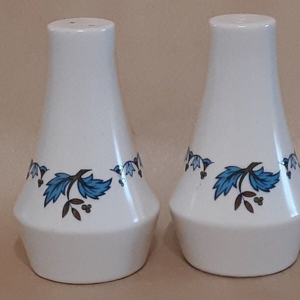 Noritake Progression China Blue Moon Floral Porcelain Salt & Pepper Set Japan