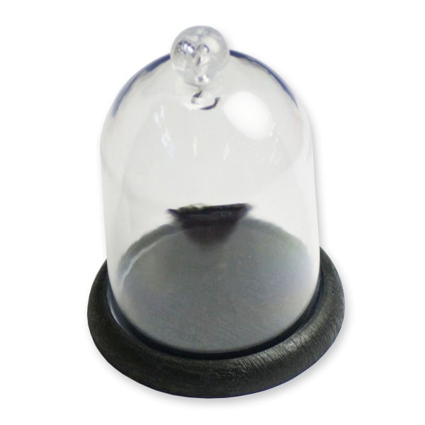 Pocket watch display dome plastic stand holder hanging pocketwatch dust cover