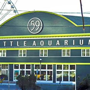 Seattle Photography