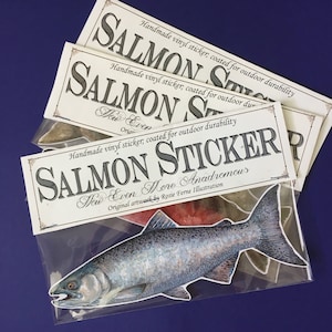 Vinyl Aufkleber Lachs mit original Illustration von Rosie Ferne, Fischen Pazifik nordwestlich Fliegenfischen Geschenk Naturliebhaber