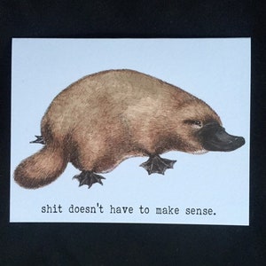 Platypus wenskaart, "Shit Does't Have To Make Sense", leuke grappige sympathie Australië speciale vogelbekdier eigenzinnige verjaardag dierenkaart