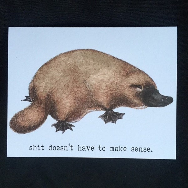 Platypus greeting card, "Shit Doesn't Have To Make Sense", cute funny sympathy Australia special platypus quirky birthday animal card