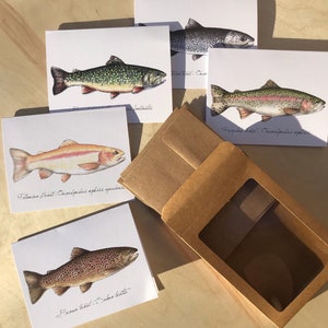 Trout notecard set, flyfishing gift, man gifts, gift for dad, rainbow trout, brown trout, cutthroat trout, brook trout