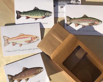 Trout notecard set, flyfishing gift, man gifts, gift for dad, rainbow trout, brown trout, cutthroat trout, brook trout