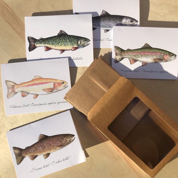 Trout notecard set, flyfishing gift, man gifts, gift for dad, rainbow trout, brown trout, cutthroat trout, brook trout