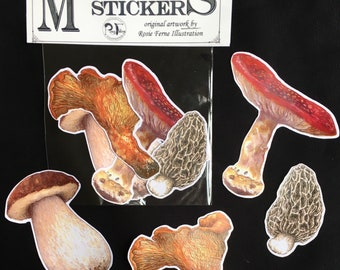 Mushroom sticker pack, 4 vinyl fungi species, amanita, morel, chanterelle, and king bolete porcini sticker, laptop sticker, mushroom gift