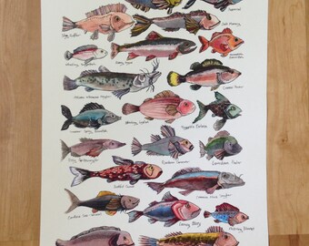Field Guide of Imaginary Fish art print, original ink and watercolor drawing, playful quirky art print