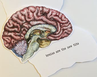 Тай массажы секс видеосы