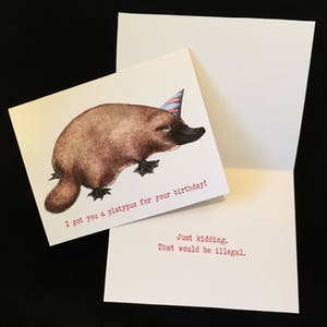 I got you a ornithorynque for your birthday card-carte d'anniversaire amusante avec art ornithorynque mignon