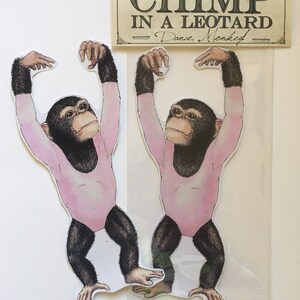 May include: Two vinyl stickers of a chimpanzee wearing a pink leotard and dancing. The stickers are packaged in a clear plastic bag with a header that reads "CHIMP IN A LEOTARD - Dance, Monkey - Handmade vinyl sticker - original artwork by Rosie Ferne Illustration"