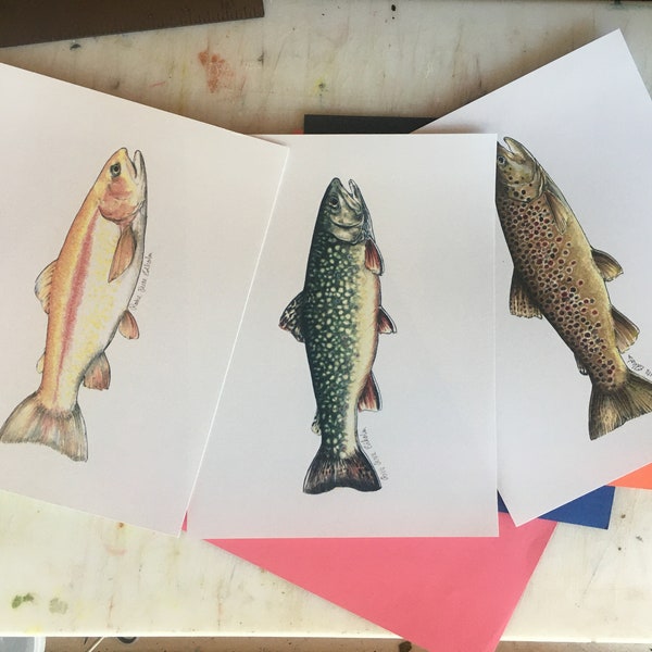 Forel prints, originele kunstwerken van Rosie Ferne Edholm, vliegvissen natuur tekening illustratie regenboog beek gouden moordende forel