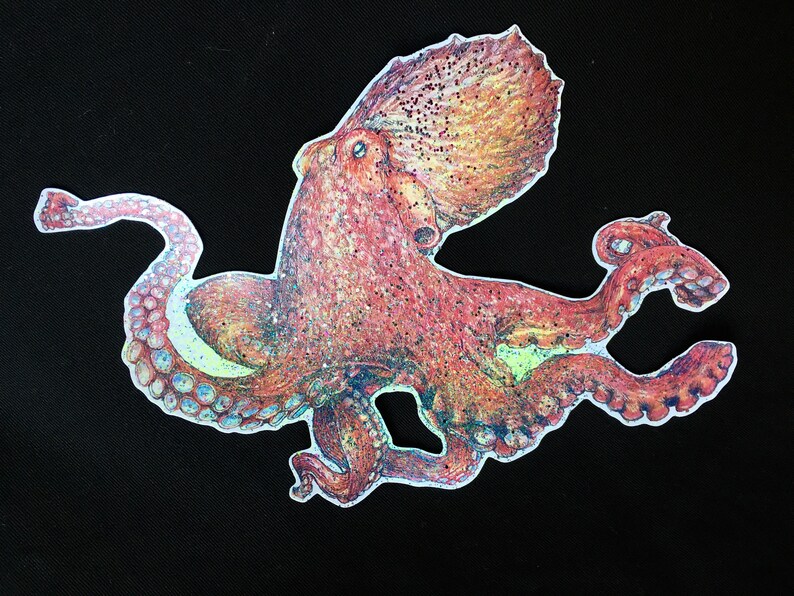 Octopus sticker- vinyl sticker, pacific giant octopus, handmade original artwork vinyl sticker image 6