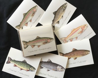 Trout notecard set, flyfishing gift, man gifts, gift for dad, rainbow trout, brown trout, cutthroat trout, brook trout