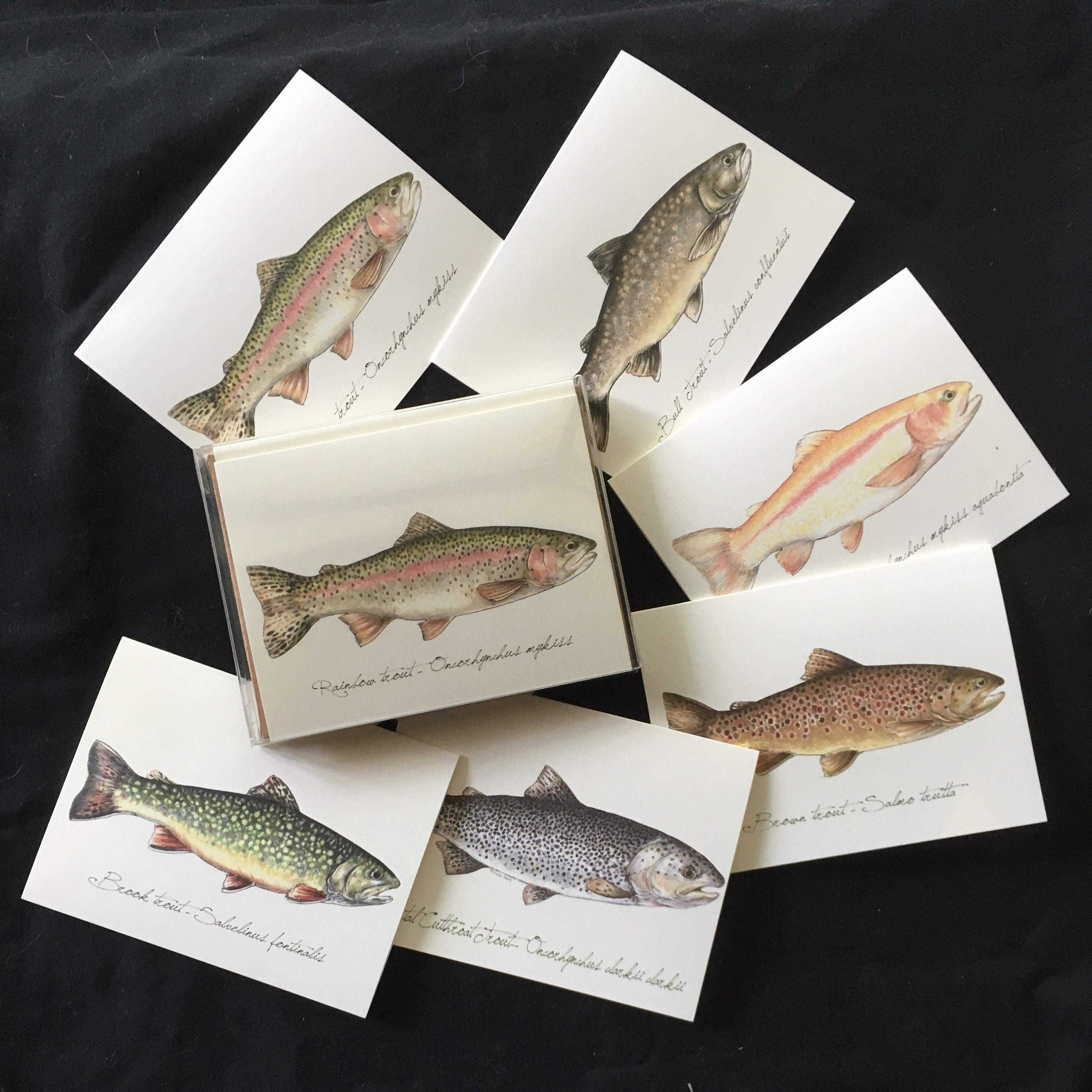 Note Card Flyfishing Etsy