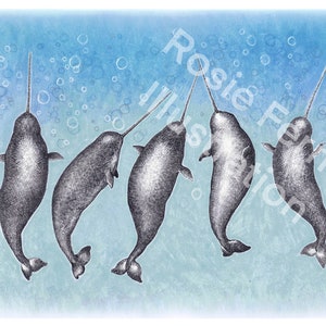 May include: Five narwhal whales are swimming upside down in a blue watercolor background. The narwhals are drawn in black and white and have long, spiraled tusks.