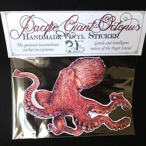 Octopus sticker- vinyl sticker, pacific giant octopus, handmade original artwork vinyl sticker