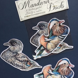 Paquete de 2 pegatinas de pato mandarín, pareja de patos macho y hembra, regalo de pareja, regalo de boda, pegatinas para portátil