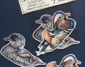 Mandarin Duck sticker 2 pack, male and female duck couple, couple gift, wedding gift, laptop stickers