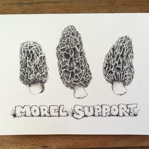 Tarjeta de apoyo Morel con ilustración de setas, tarjeta de amistad de apoyo moral