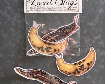 Banana slug and Leopard slug sticker pack, 2 vinyl stickers pacific northwest nature gardener gift slug bugs laptop macbook sticker