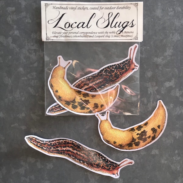 Banana slug and Leopard slug sticker pack, 2 vinyl stickers pacific northwest nature gardener gift slug bugs laptop macbook sticker