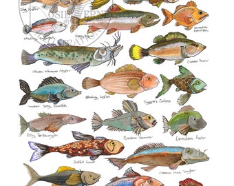 Field Guide of Imaginary Fish art print, original ink and watercolor drawing, playful quirky art print