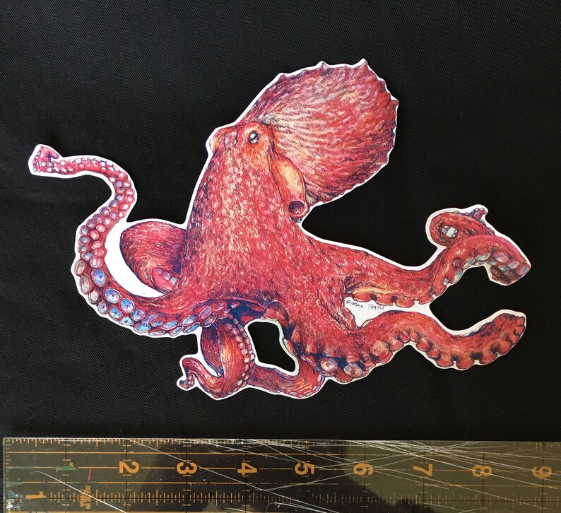 Octopus sticker- vinyl sticker, pacific giant octopus, handmade original artwork vinyl sticker image 3
