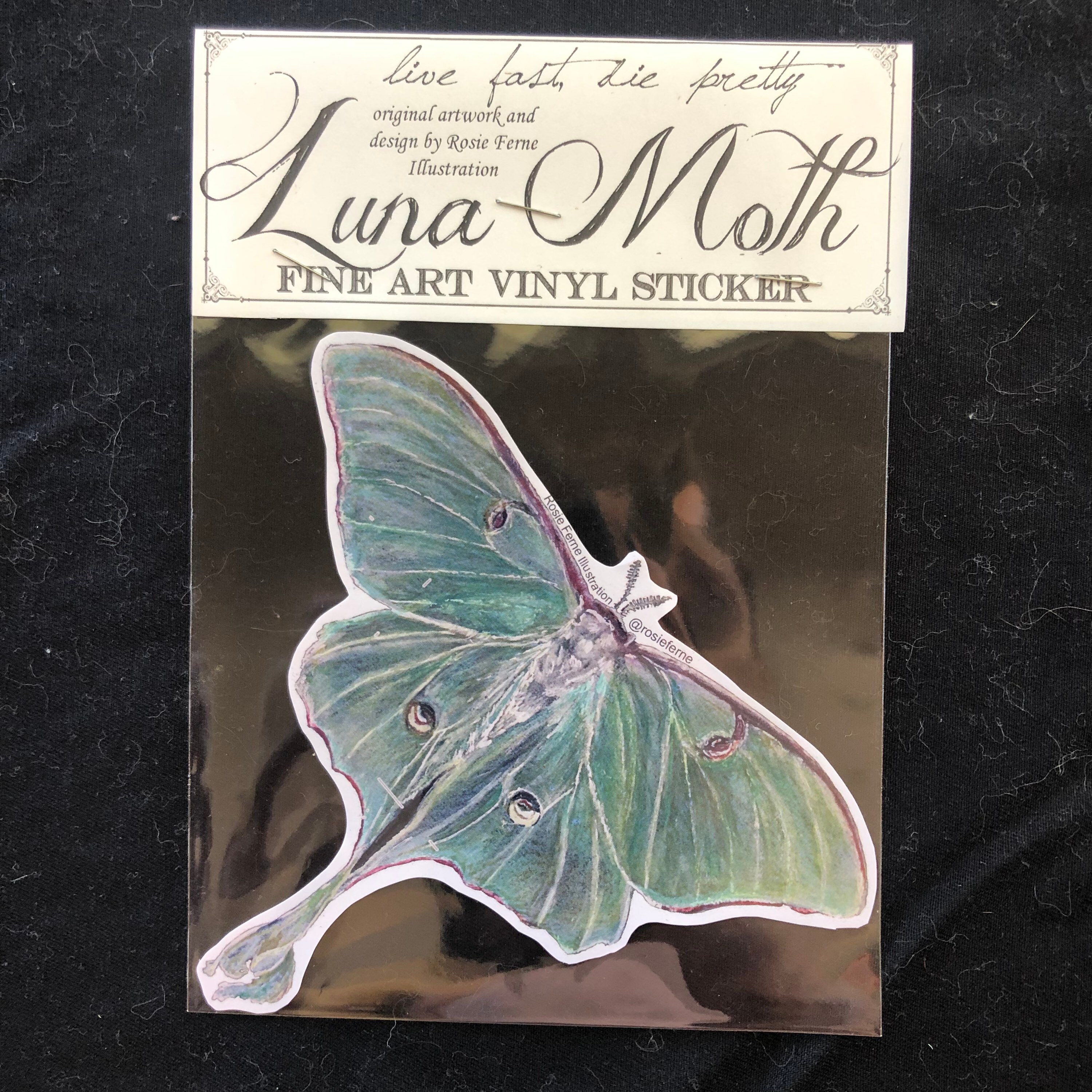 Luna Moth Sticker, Butterfly Vinyl Sticker Nature Gardener Gift Bugs ...