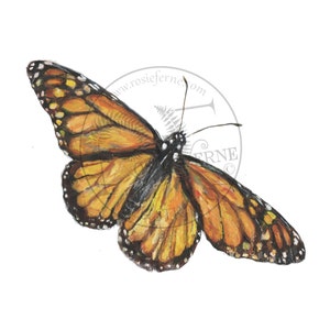 Monarch Butterfly Fine Art Print, Original artwork oil on panel painting, stunning nature butterflies artwork
