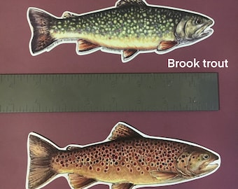 Vinyl Trout Stickers - indoor/outdoor decals brook rainbow trout flyfishing gift original illustration by Rosie Ferne nature fishing