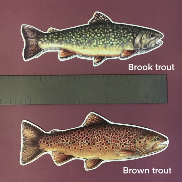 Vinyl Trout Stickers - indoor/outdoor decals brook rainbow trout flyfishing gift original illustration by Rosie Ferne nature fishing