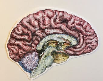 Несие үшін жақсы секс