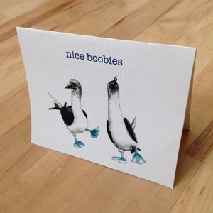 Nice Boobies card, funny card with nature wildlife art of blue footed Galapagos boobies