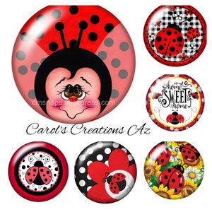May include: Six round, colorful, ladybug-themed, resin cabochons. The cabochons feature different designs, including a ladybug with polka dots, a ladybug with a flower, and a ladybug with the words "home sweet home".
