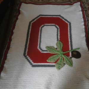 Hand crocheted Ohio state afghan. approx. 55 by 47. Buckeye and all. Great for the OSU fan.