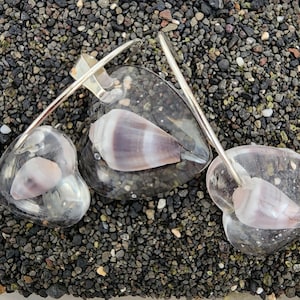 May include: Three silver heart-shaped pendants with clear glass fronts, each containing a small seashell. The shells are a light pink and white color with brown stripes.