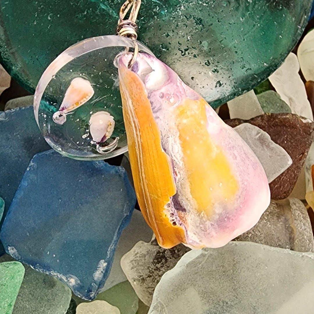 ABC Cone Shell With Tiny Shells Encased in Resin - Etsy