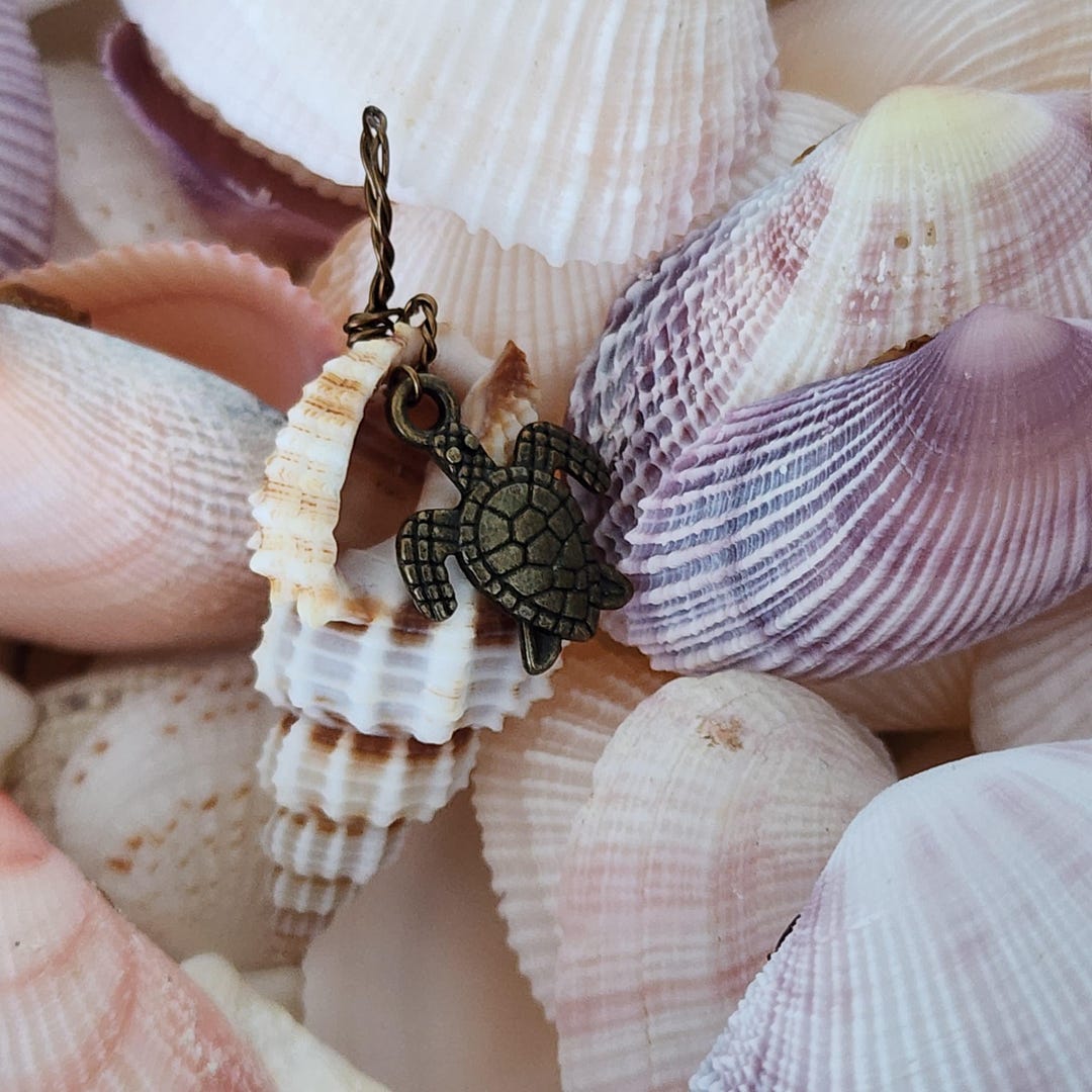 Turtle Shell Conk Small Conch Shell With Antique Gold Turtle Charm. - Etsy