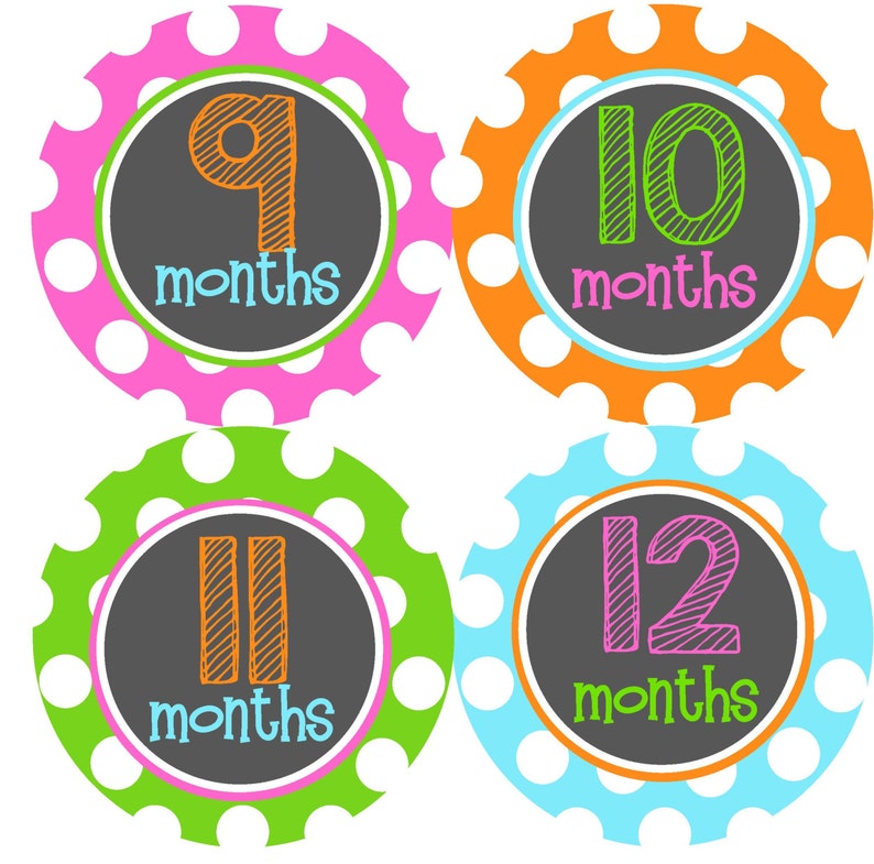 Month Baby Sticker Baby Girl Month Stickers 12 Month Stickers The Julie Design- Baby Stickers Baby Milestone Stickers Monthly Stickers