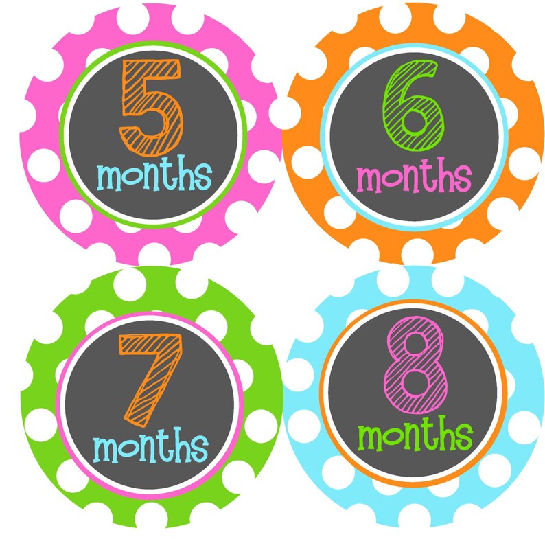 Month Baby Sticker Baby Girl Month Stickers 12 Month Stickers The Julie Design- Baby Stickers Baby Milestone Stickers Monthly Stickers