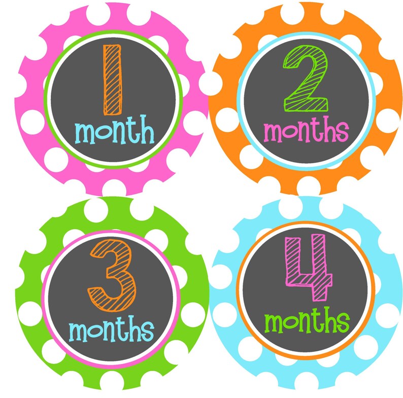 Month Baby Sticker Baby Girl Month Stickers 12 Month Stickers The Julie Design- Baby Stickers Baby Milestone Stickers Monthly Stickers