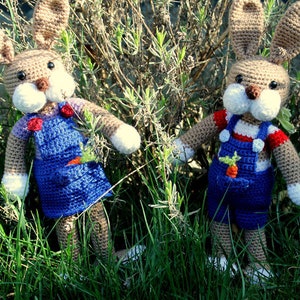 ebook bunny/bunny couple crocheted image 1