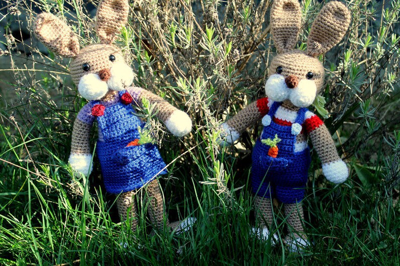 ebook bunny/bunny couple crocheted image 1