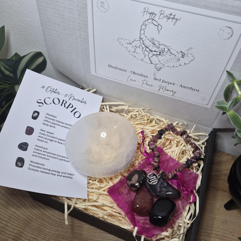 Zodiac Birthstone Gemstone Kit, Crystal Gift Set, Birthstone Bracelet with Tumbled Stones & Selenite Bowl, Astrology Self Care Kit. image 16